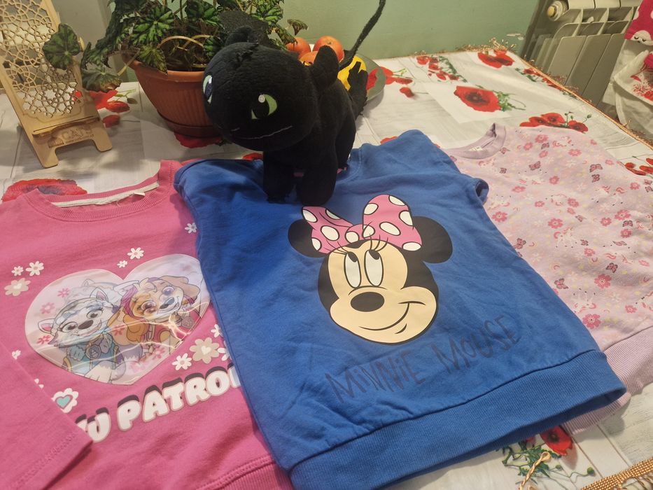 Кофтинки + Подарунок ( легендарний дракон Беззубик