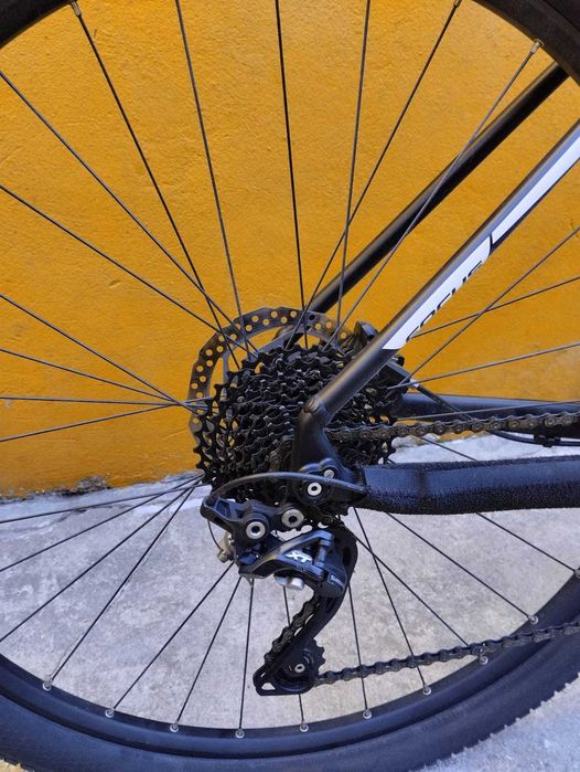 Bicicleta Focus Black Forest