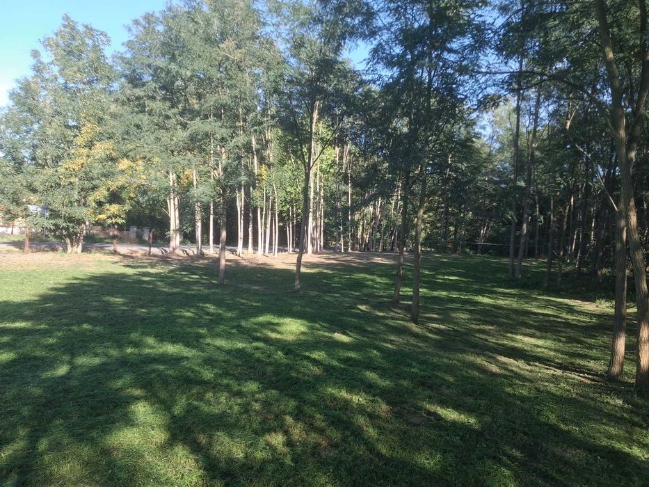 Działka pod dom przy lesie i Zbiorniku Jeziorsko – 1158 m², WZ bezterminowa