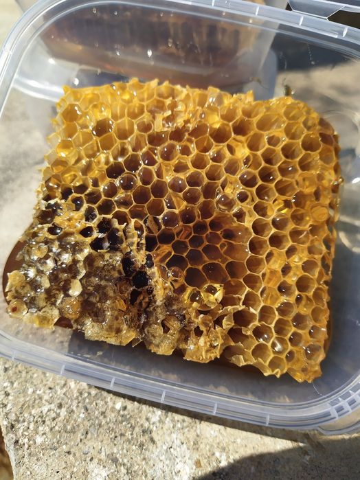 Mel - favo multi floral