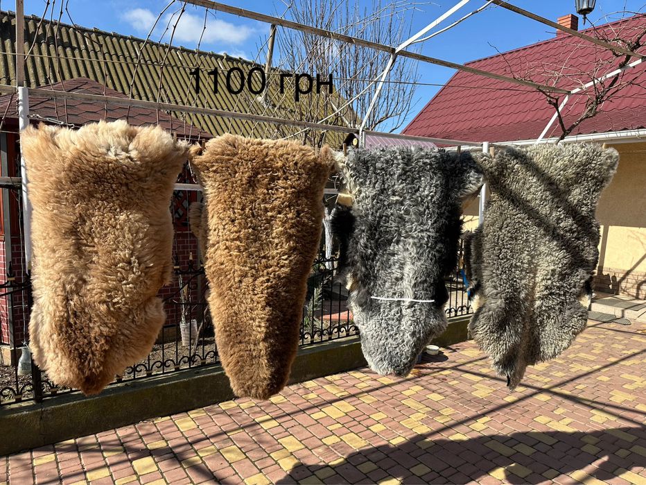 Овечі шкурки натуральні