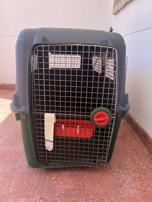 Caixa de Transporte cão grande porte