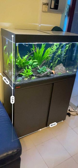 Aquário EHEIM Vivaline LED 126L