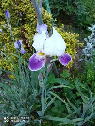 nadwyzki z ogrodka od 0,20