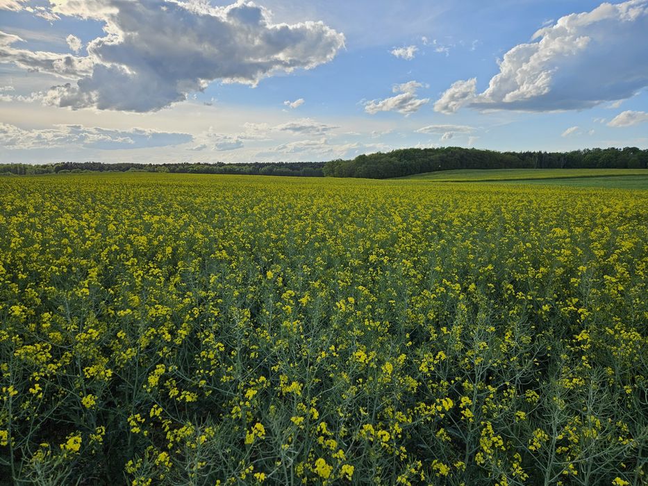 Działki budowlane Trzebicko