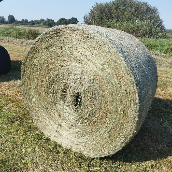 Sprzedam sianokiszonkę oraz siano i słomę