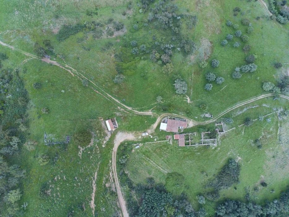 Monte Alentejano em Santana da Serra casa térrea com 78m2 prédio urbano e rústico de 8 hectares