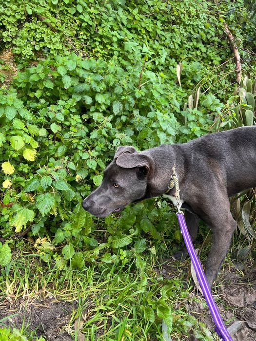 Lindo demais para ainda nao ter família das boas!