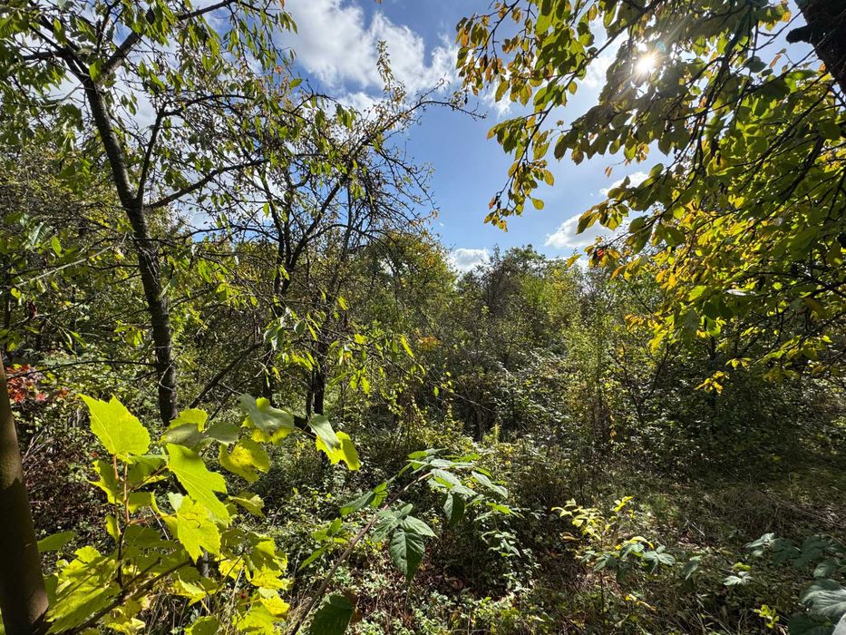 Будинок за адресою вул. Спаська (площа 30 м²) - Atlanta.ua - фото 9