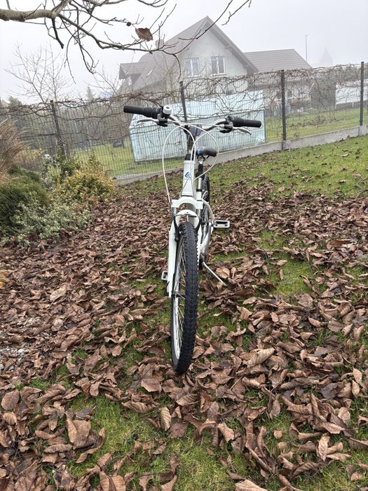 Rower Kross Modo 1.0 26 cali