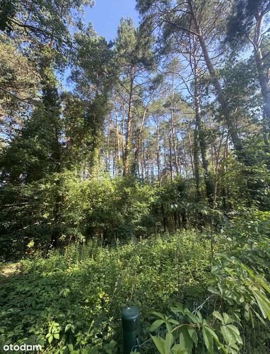 Najpiękniejsza działka w okolicy! Miejsce na Twój dom - Widok 5