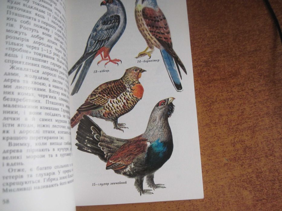 П. Гальченко. Пернаті друзі. Київ Урожай 1978 Зменешений формат