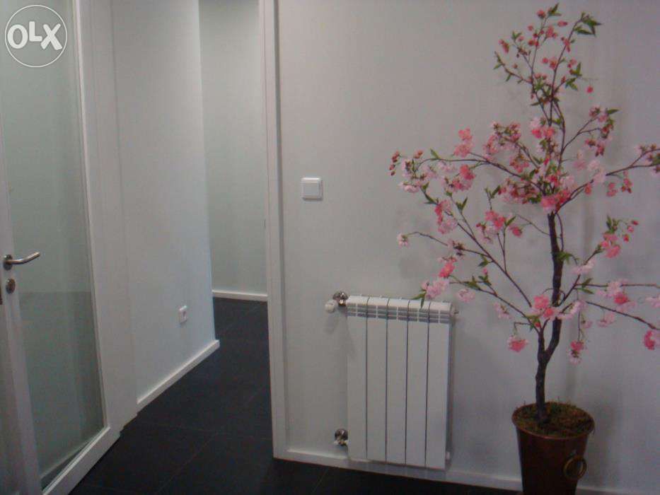 Quarto ao Amial - Circunvalação
