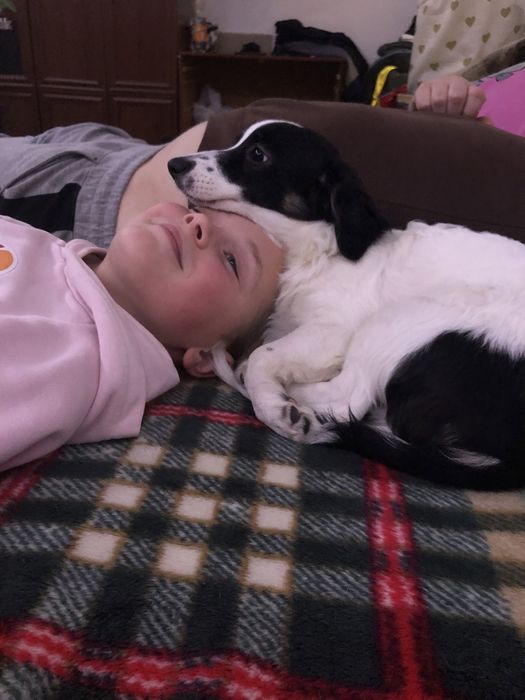 Отдам в хорошие руки