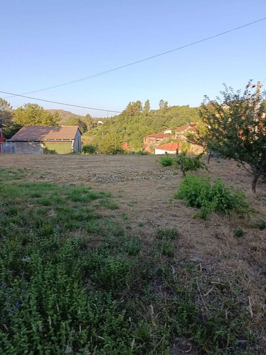 Lote para Construção (501m2) + 2 Terrenos Rústicos (1909m2) – A 7 km de Castro Daire