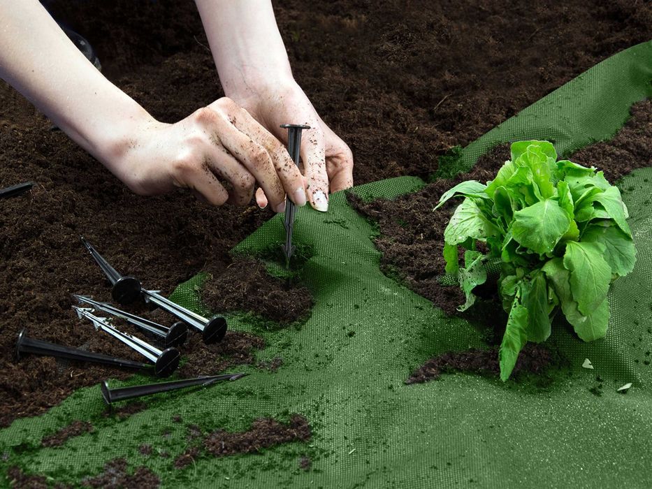 AGROWŁÓKNINA Ogrodowa 1,6m x 100m 90g/m2 + 100 szpilek  Czarno-Zielona