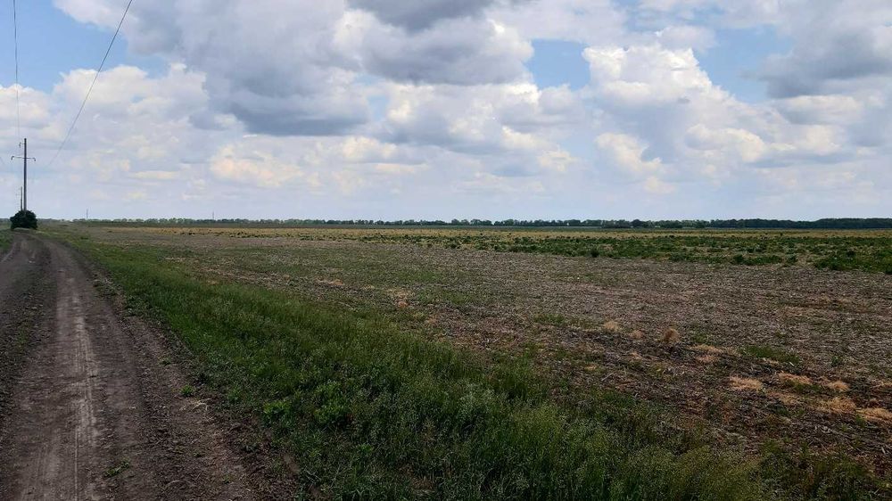 Суміжні земельні ділянки під ОСГ площею 3,9 га Головурівська с/р