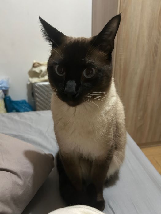 Leva me para casa!!!