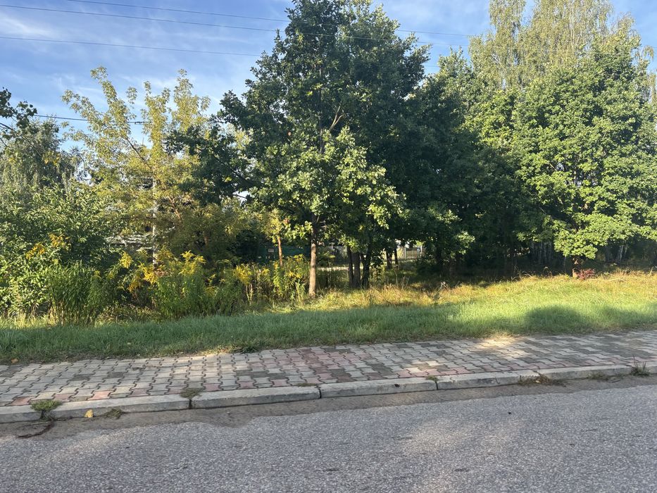 Zdjęcie 6
