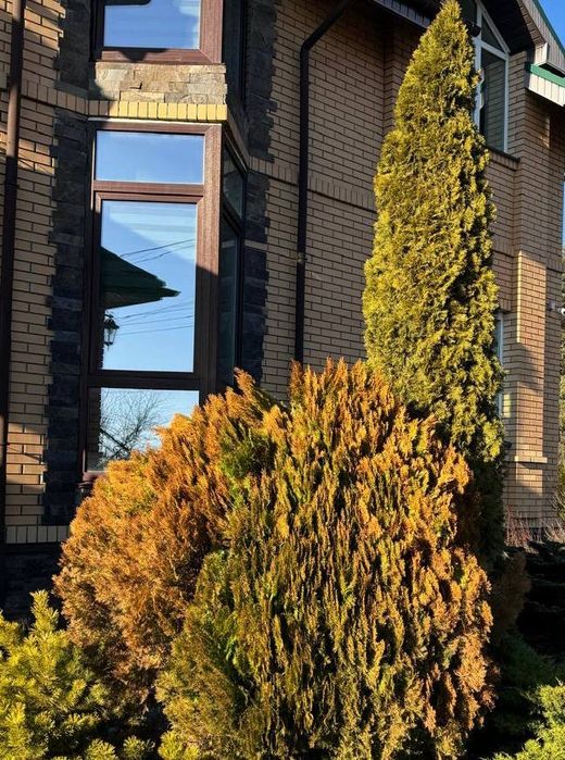 Дом по адресу ул. Редутная (площадь 490 м²) - Atlanta.ua - фото 3