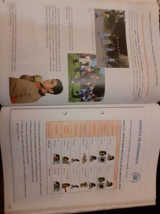 Manual O Mistério da Vida Ciências Natureza - 6º ano