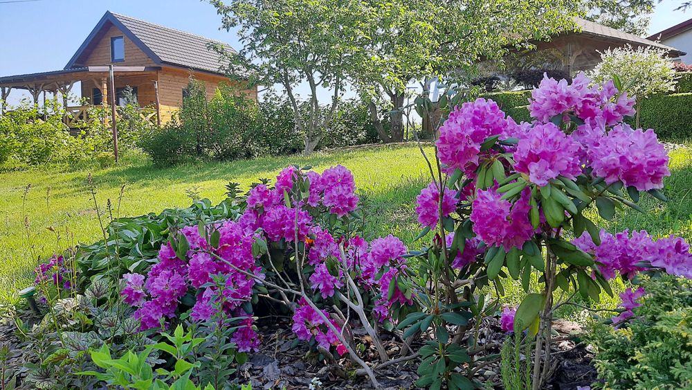 Domek nad Stawem Bory Tucholskie