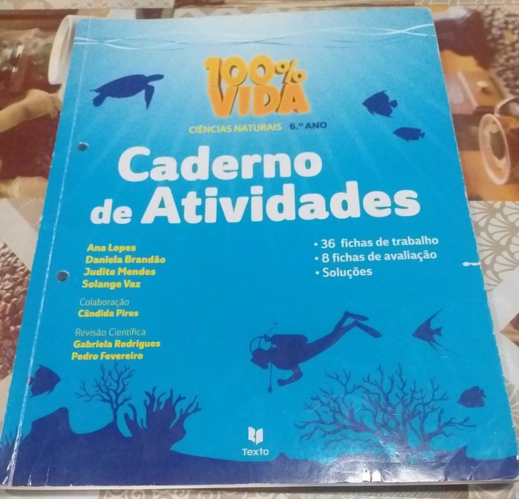 Cadernos de Atividades 6º ano