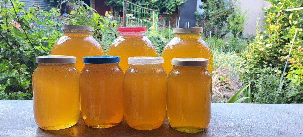 Продається мед із власної пасіки, Київ Подільський район куренівка