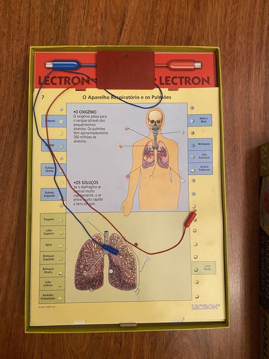 Jogo "Lectron - Conhece o Teu Corpo"