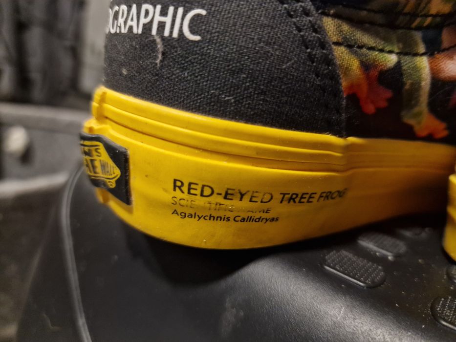 Vans x National Geographic Old Skool Sneakers Limited Edition