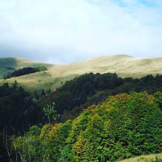 Таксі Славсько, Екскурсії по Карпатах, Джип тури