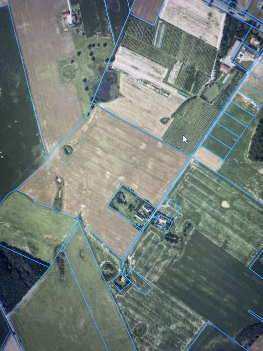 Dzialka rolna 11,56 ha-sprzedam