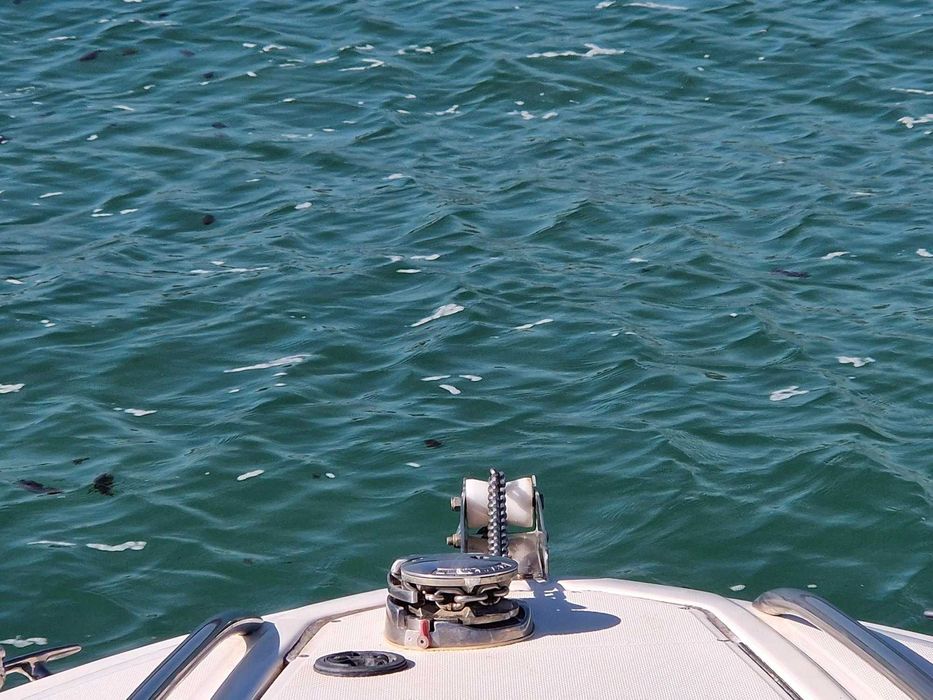 Embarcação Sea Ray 240 SS de 2006 Excelente estado - Totalmente revista - Preço Inclui atrelado de 2022
