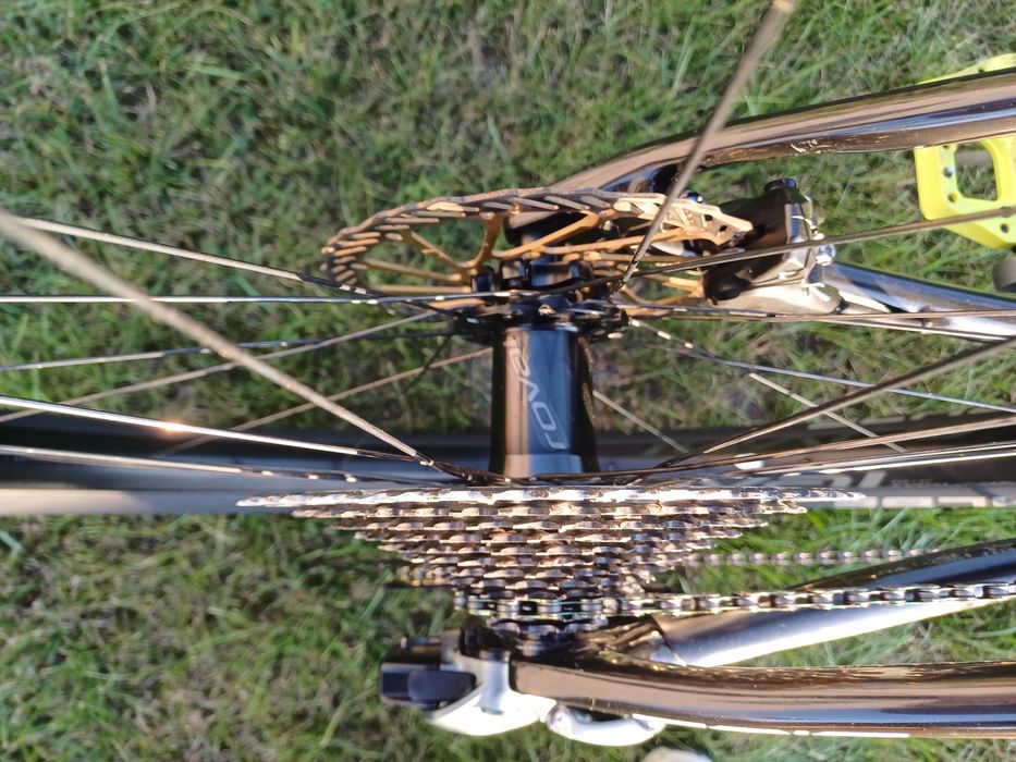 Specialized S-Works Epic Hardtail AXS xx1 brain