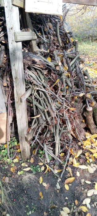 Дрова фруктовых деревьев 2000 грн