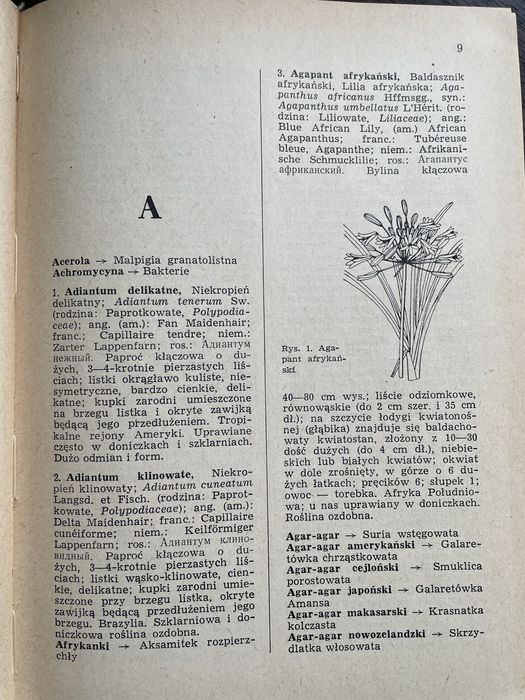 Słownik roślin użytkowych