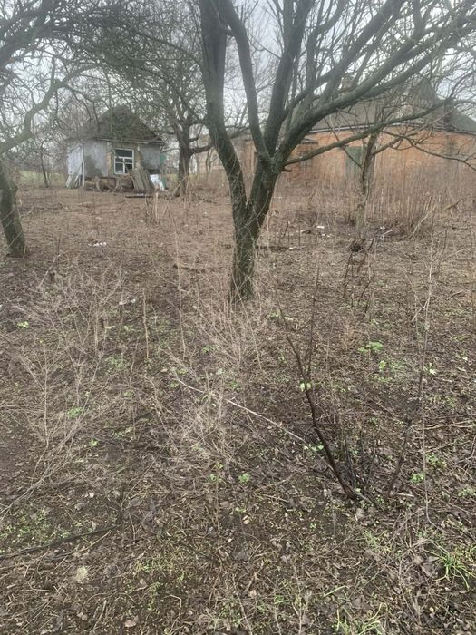 Продам будинок(дача) з великим городом