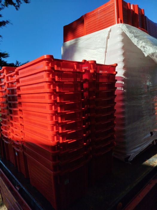 Caixas plástico agricultura