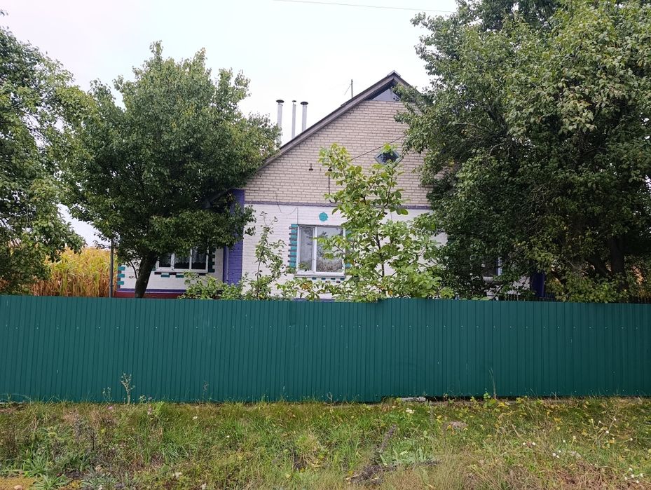 Великий будинок село Квітневе