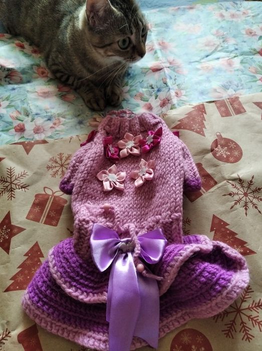 Сукня для собачки