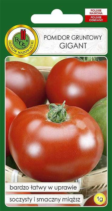 Sadzonka Pomidor GIGANT