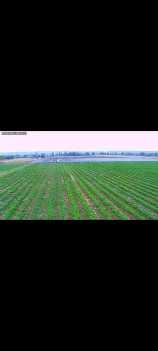 Продам  землю осг,сельхоз хозяйство 7.5 гектаров+ 25 соток  под дом. Под котеджный посёлок. Под зону отдыха.