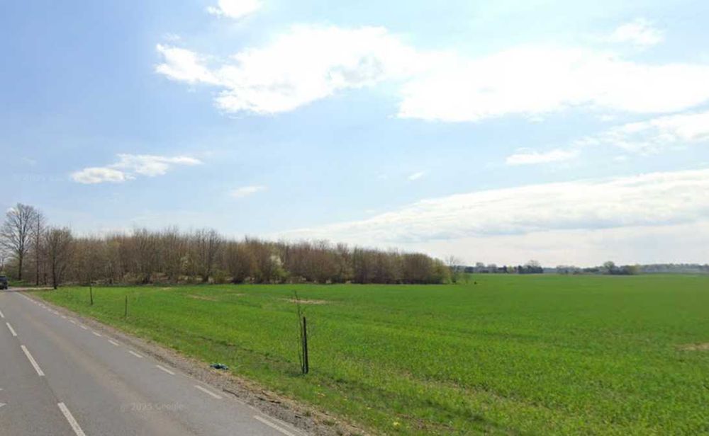 Zdjęcie 6