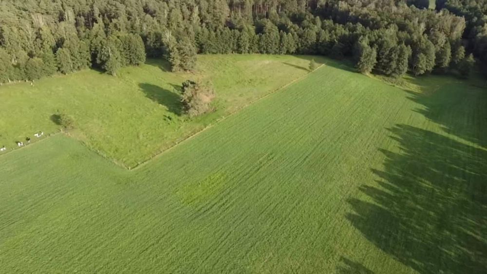 Działka 10.05 ha Mazury w Jednym Kawałku