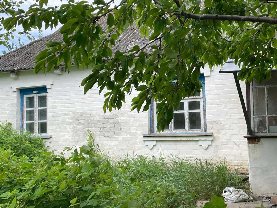 Продам будинок в с. Андрушки