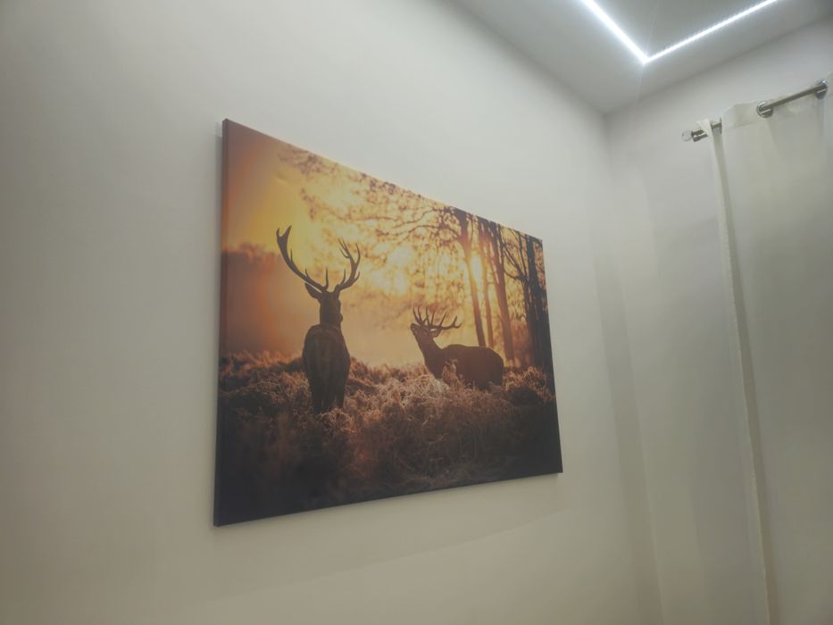 Obraz 120x80 jelenie