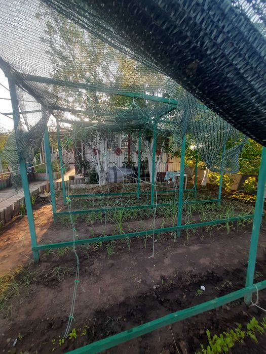 продаю дачу в СВТ Сатурн,  біля с. Калинівка