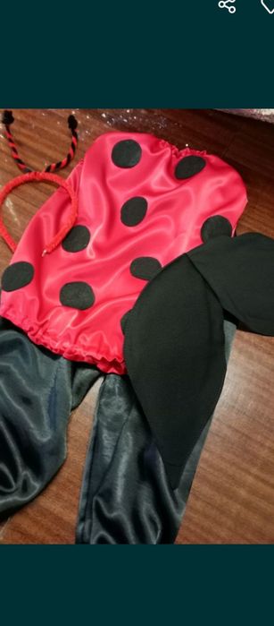 Жучки,коник,мурашки, бедрик,джмелик, кузнечік костюми до свята весни.