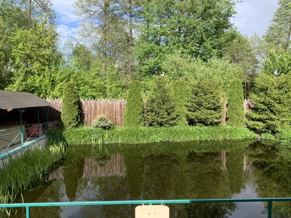 Аренда дома для мероприятий у пруда с сауной!