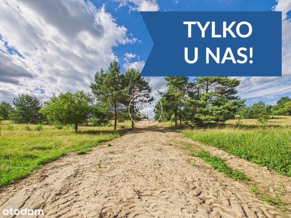 8200 m² z MPZP i Warunkami Zabudowy